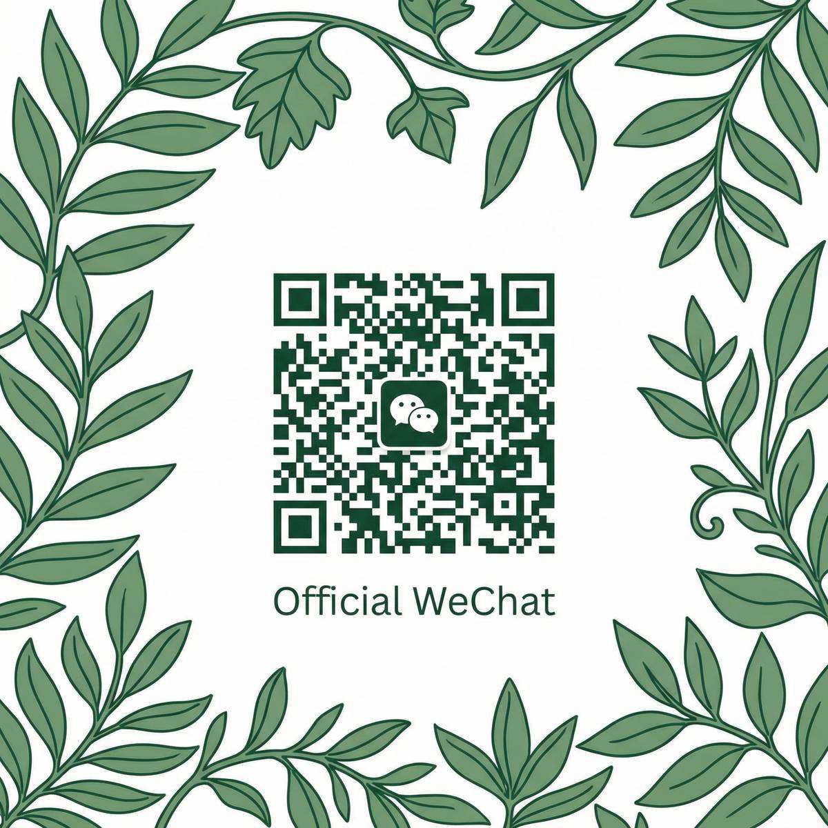 黑丝公众号二维码